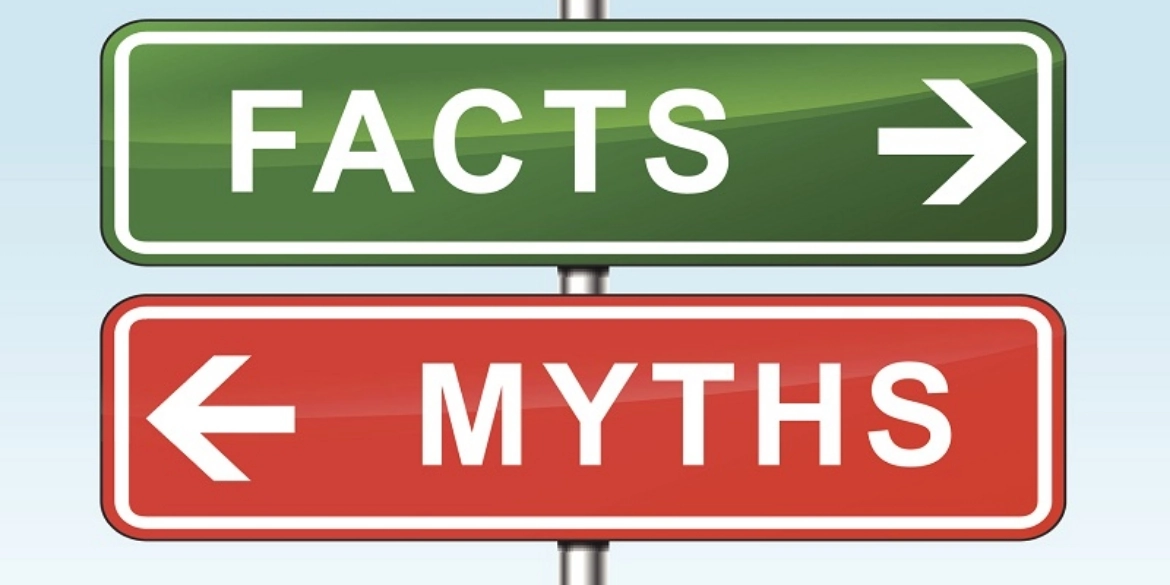 mity i fakty